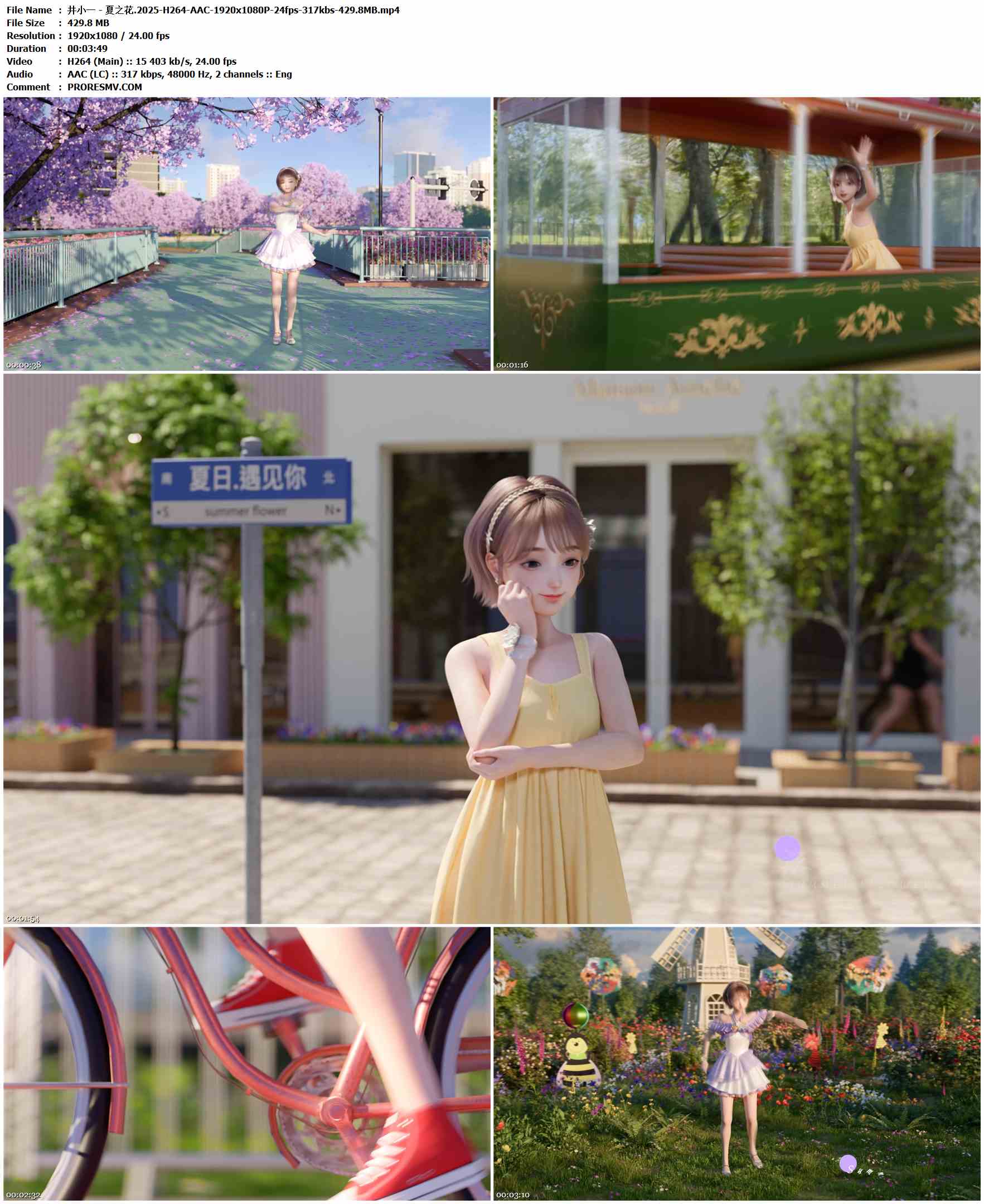 井小一 - 夏之花.2025-H264-AAC-1920x1080P-24fps-317kbs-429.8MB官方MV_高清MV
